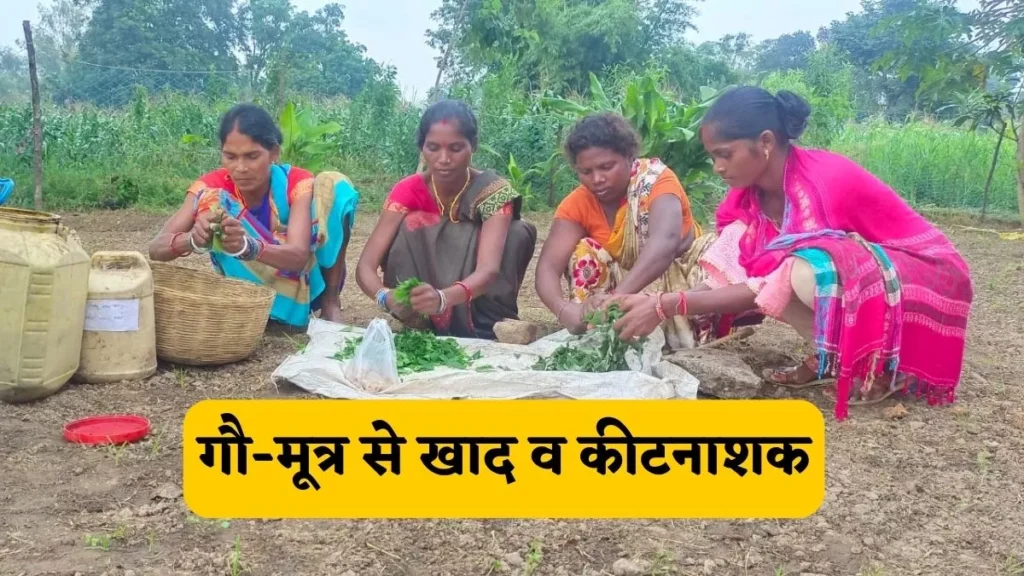 29_09_2022-cow_urine_to_fertilizers_23106467